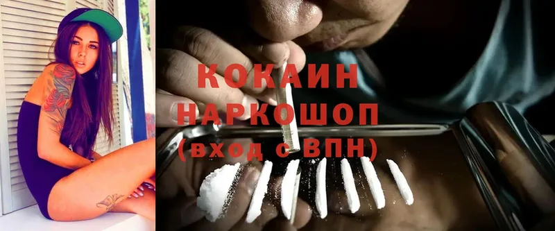 Cocaine Fish Scale  дарк нет наркотические препараты  Нариманов 